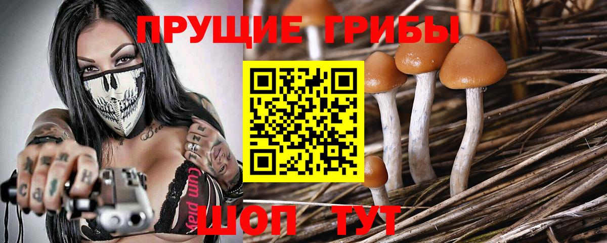 Галлюциногенные грибы Magic Shrooms Новосибирск