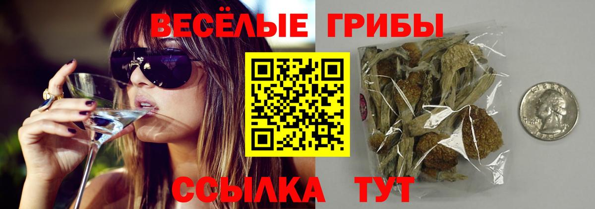 Новосибирск  Галлюциногенные грибы мухоморы  Вход с VPN  Псилоцибиновые грибы прущие грибы 